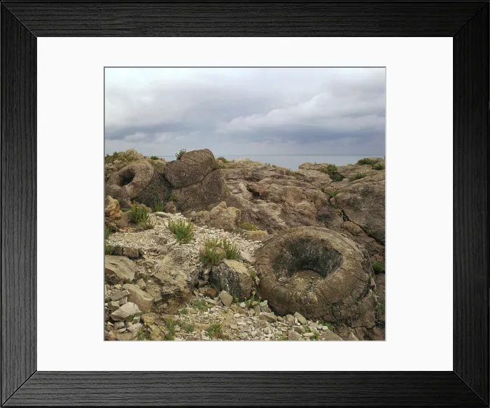 Framed Print : Fossil forest in Dorset Framed Print : Fossil forest in Dorset