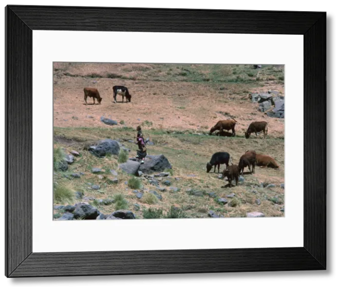 Framed Print : High pasture in the High Atlas Mountains Framed Print : High pasture in the High Atlas Mountains