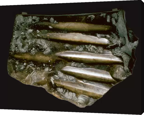 Flint polishing stone from Neolithic France