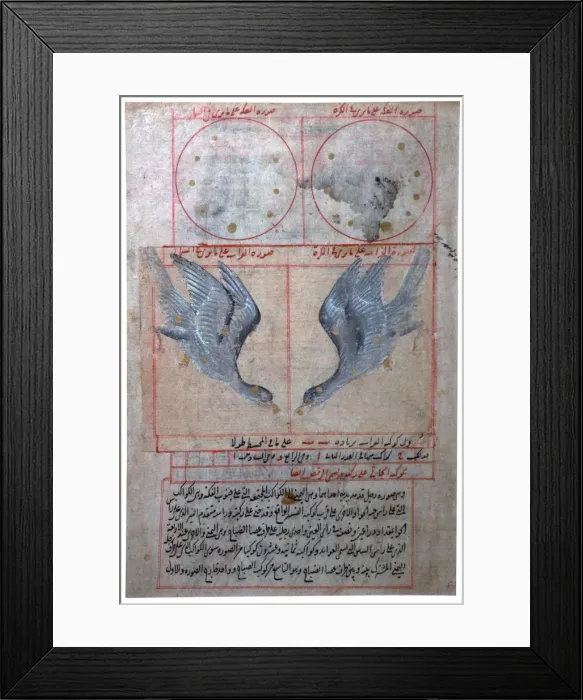 Framed Print : Illustration of the Constellations of the Southern Hemisphere, 16th century Framed Print : Illustration of the Constellations of the Southern Hemisphere, 16th century