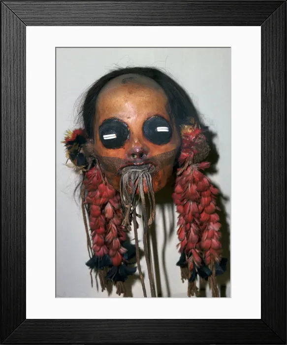 Framed Print : South Native American boiled head Framed Print : South Native American boiled head