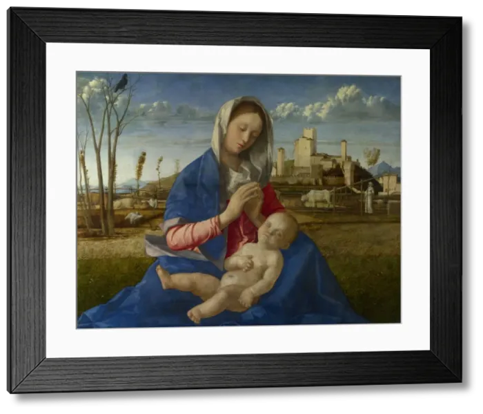 Framed Print : Madonna of the Meadow, c. 1500. Artist: Bellini, Giovanni (1430-1516) Framed Print : Madonna of the Meadow, c. 1500. Artist: Bellini, Giovanni (1430-1516)