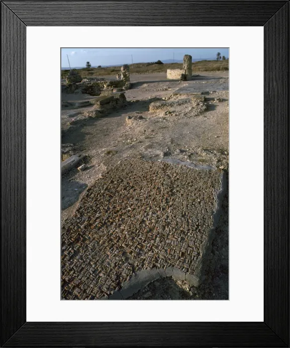 Framed Print : Punic floor mosaic, c. 6th century BC Framed Print : Punic floor mosaic, c. 6th century BC