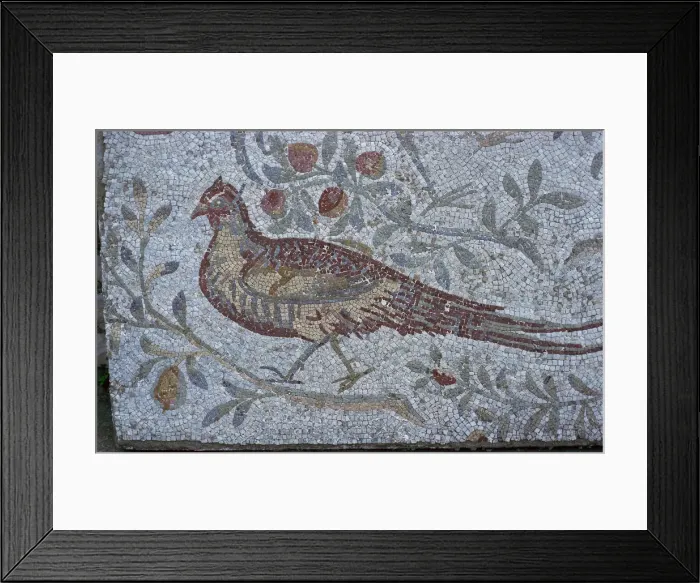 Framed Print : Floor mosaic from a Roman villa Framed Print : Floor mosaic from a Roman villa