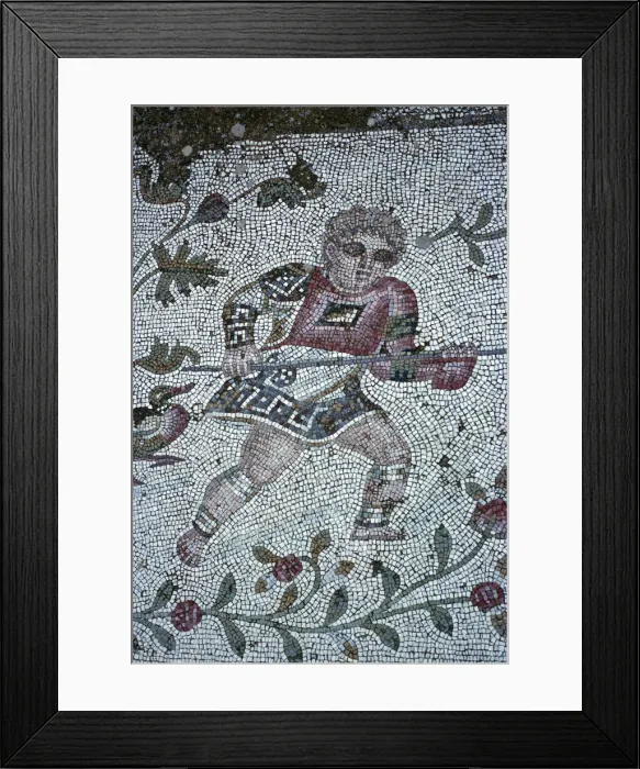 Framed Print : Floor mosaic from a Roman villa Framed Print : Floor mosaic from a Roman villa