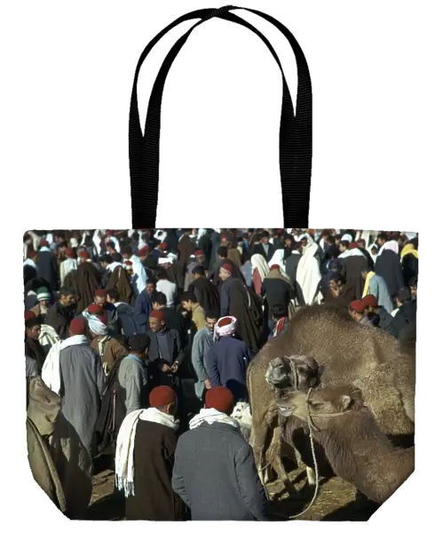 Camel market in Sousse