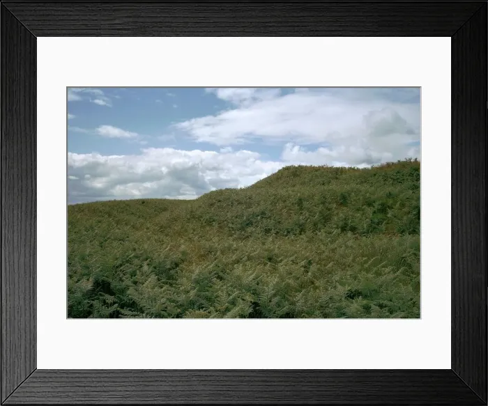 Framed Print : Cranbrook Castle Framed Print : Cranbrook Castle