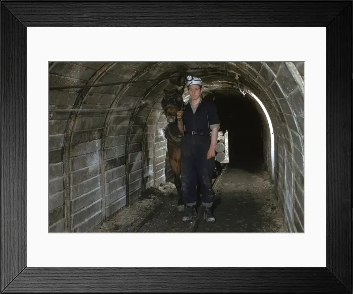Framed Print : Pit Pony pulling truck Framed Print : Pit Pony pulling truck