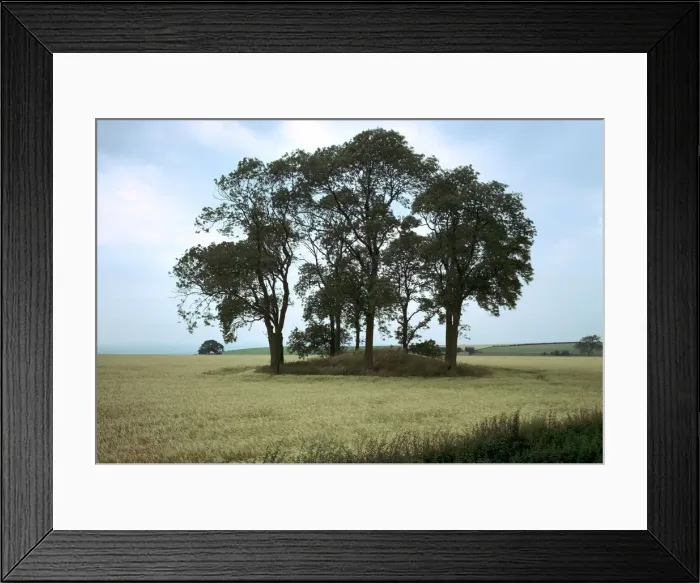 Framed Print : Round Barrow Framed Print : Round Barrow