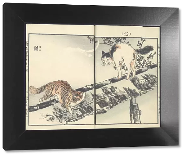 Cats. From the series Inakanotsuki, 1889