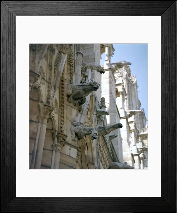 Framed Print : Detail of the north side of Notre Dame, 12th century Framed Print : Detail of the north side of Notre Dame, 12th century