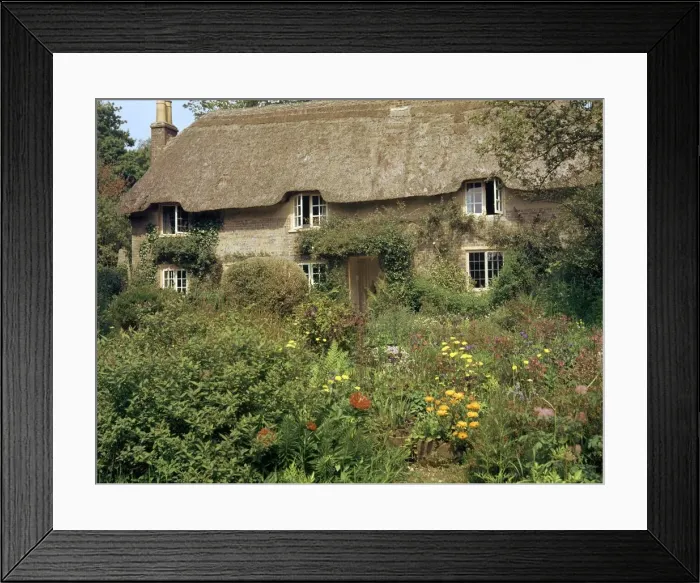 Framed Print : Birthplace of Thomas Hardy, 19th century Framed Print : Birthplace of Thomas Hardy, 19th century