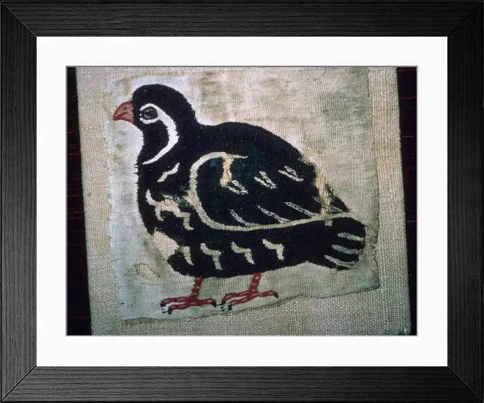 Framed Print : Coptic Egyptian textile showing a quail, 3rd or 4th century AD Framed Print : Coptic Egyptian textile showing a quail, 3rd or 4th century AD