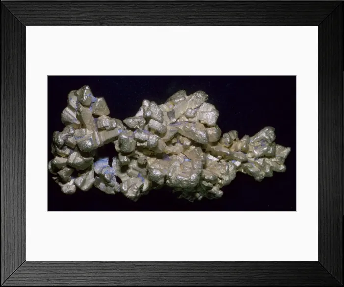 Framed Print : The Latrobe Gold Nugget