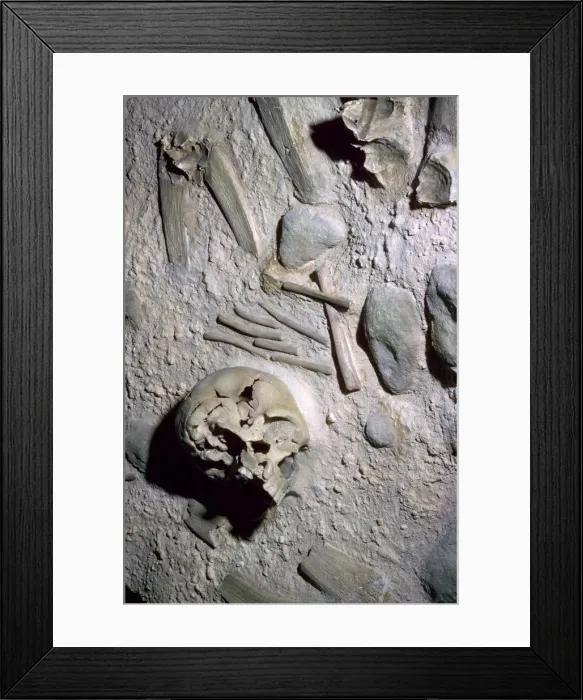 Framed Print : Reconstruction of a high-status neanderthal burial in central Asia Framed Print : Reconstruction of a high-status neanderthal burial in central Asia