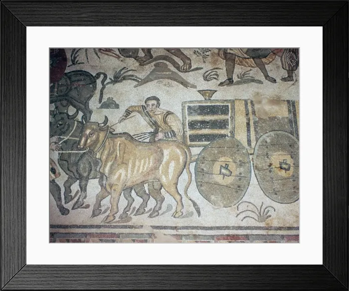 Framed Print : Roman mosaic of a bullock cart, 3rd century Framed Print : Roman mosaic of a bullock cart, 3rd century