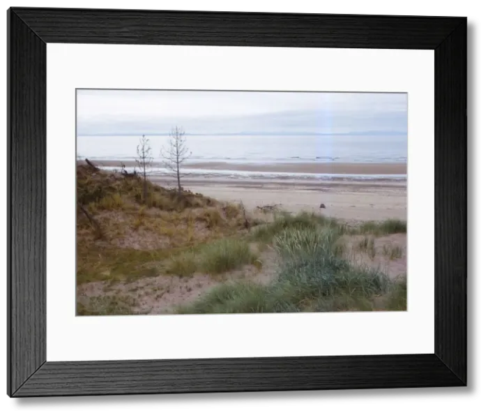 Framed Print : Culbin Sands, and Moray Firth, Moray, Scotland, 20th century. Artist: CM Dixon Framed Print : Culbin Sands, and Moray Firth, Moray, Scotland, 20th century. Artist: CM Dixon