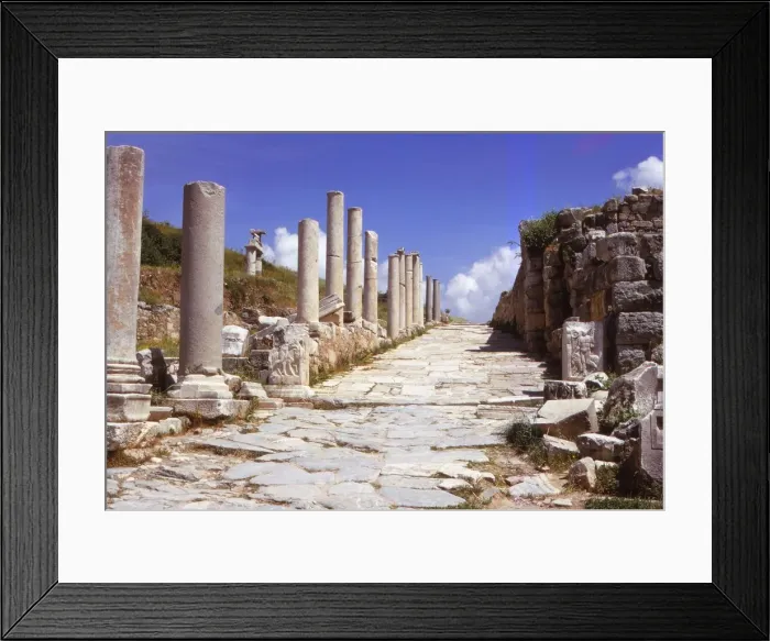 Framed Print : Curetes Street, leading to the State Agora, Ephesus, Turkey, 20th century. Artist: CM Dixon Framed Print : Curetes Street, leading to the State Agora, Ephesus, Turkey, 20th century. Artist: CM Dixon