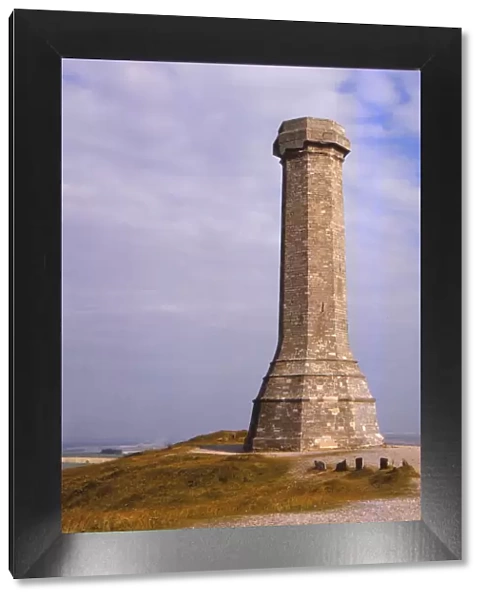 Hardy Monument, to Admiral Sir Thomas Hardy on Blackdown Hill, Dorset, 20th century. Artist: CM Dixon