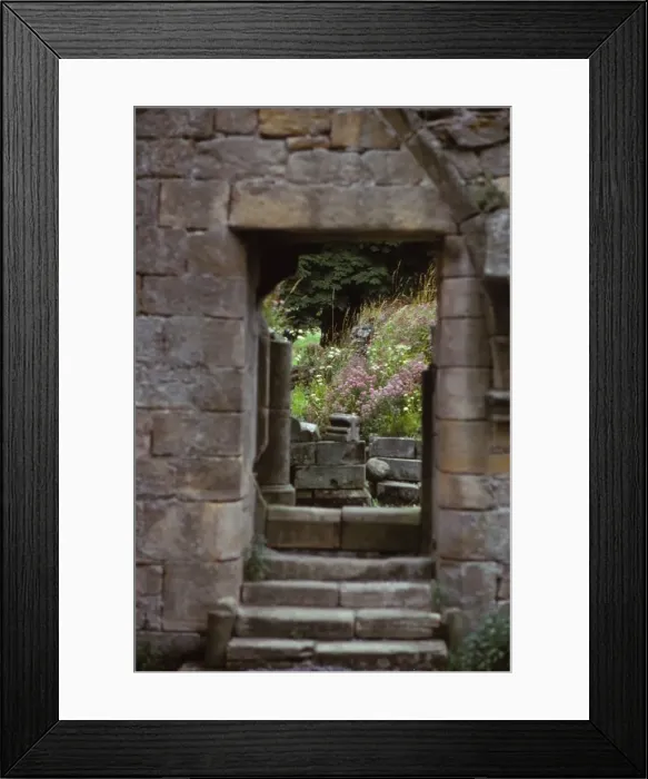 Framed Print : Jervaulx Abbey, Wensleydale, Yorkshire, 20th century. Artist: CM Dixon Framed Print : Jervaulx Abbey, Wensleydale, Yorkshire, 20th century. Artist: CM Dixon