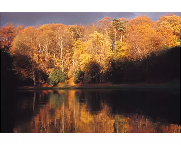 Robin Hoods Wood seen across a lake on the River Skell, North Yorkshire, 20th century. Artist: CM Dixon