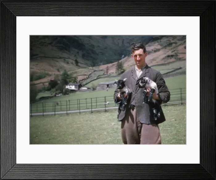 Framed Print : Lake District Sheep Farmer, c1960. Artist: CM Dixon