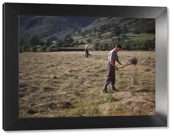 Turning hay by hand, farmer in Longdale Valley, Lake District, c1960. Artist: CM Dixon