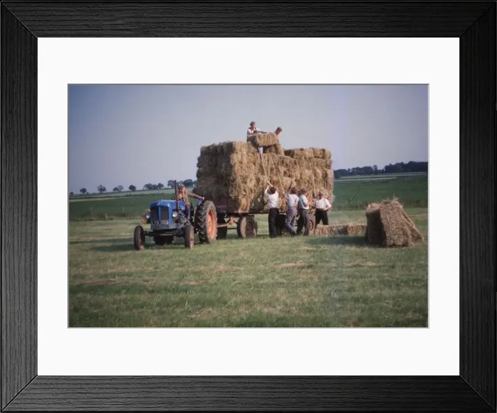 Framed Print : Loading bales of hay, England, c1960. Artist: CM Dixon Framed Print : Loading bales of hay, England, c1960. Artist: CM Dixon