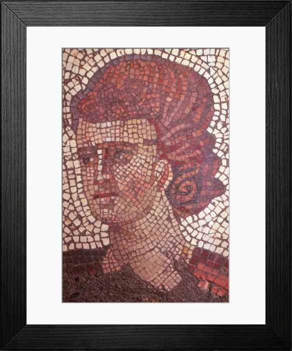 Framed Print : Byzantine Floor Mosaic in the Great Palace, Istanbul, 565 - 578 AD, (20th century)