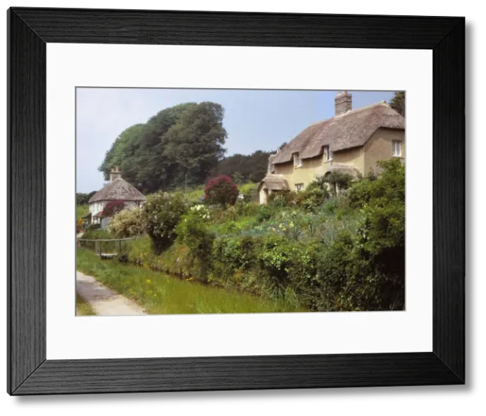 Framed Print : Village of Littlebredy, Dorset, 20th century. Artist: CM Dixon Framed Print : Village of Littlebredy, Dorset, 20th century. Artist: CM Dixon