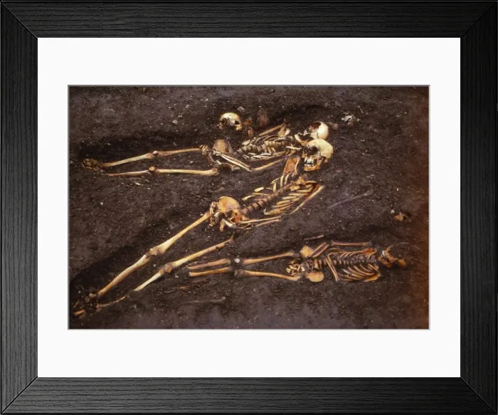 Framed Print : Medieval burial site, Ebor Brewery, York, 20th century. Artist: CM Dixon Framed Print : Medieval burial site, Ebor Brewery, York, 20th century. Artist: CM Dixon