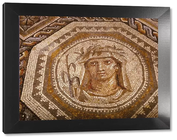 Roman Mosaic of the Season Autumn at Museum of Pagan Art, Arles, France, c1st-2nd century