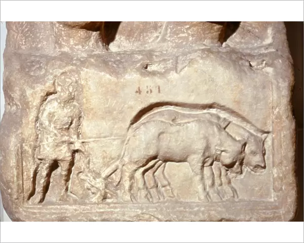 Roman Relief, Ploughing with Oxen, c1st century