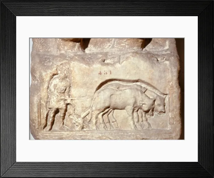 Framed Print : Roman Relief, Ploughing with Oxen, c1st century Framed Print : Roman Relief, Ploughing with Oxen, c1st century