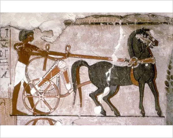 Egyptian Wallpainting from the Tomb of Nebanmun at Thebes, c1400 BC. Chariot and Attendant