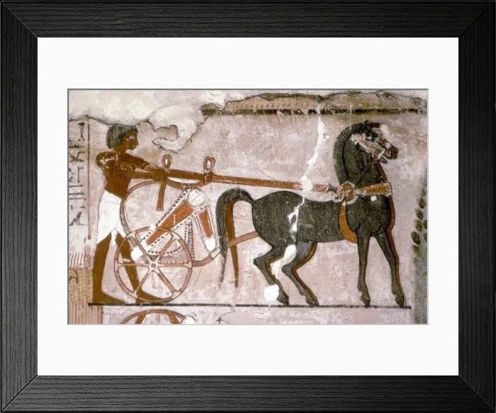 Framed Print : Egyptian Wallpainting from the Tomb of Nebanmun at Thebes, c1400 BC. Chariot and Attendant Framed Print : Egyptian Wallpainting from the Tomb of Nebanmun at Thebes, c1400 BC. Chariot and Attendant