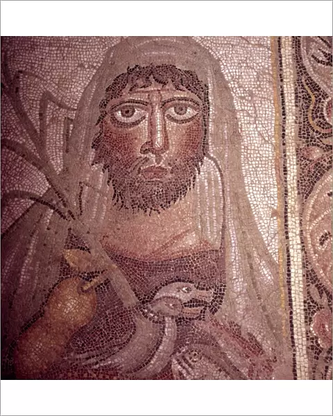 Detail of Simon on Mosaic Pavement, 5th century