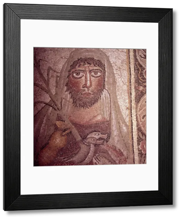 Framed Print : Detail of Simon on Mosaic Pavement, 5th century Framed Print : Detail of Simon on Mosaic Pavement, 5th century