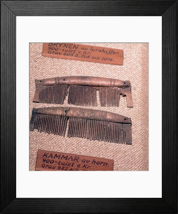 Framed Print : Bone comes from Graves of the Viking Period, Sweden, 8th- mid-11th century Framed Print : Bone comes from Graves of the Viking Period, Sweden, 8th- mid-11th century