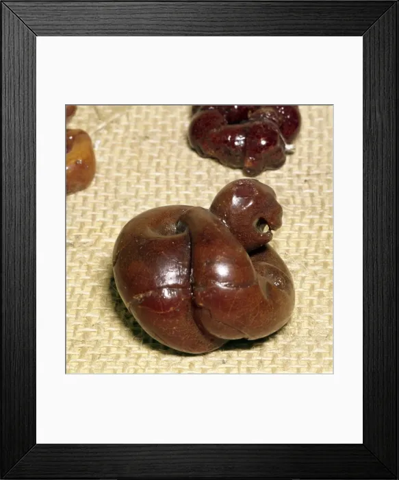 Framed Print : Animal in Amber, Norway, Viking Period, 9th century Framed Print : Animal in Amber, Norway, Viking Period, 9th century