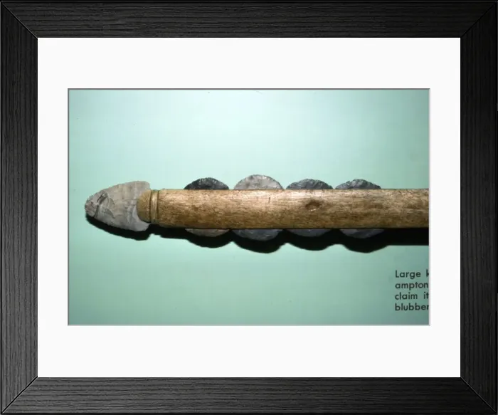 Framed Print : Large Knife from grave at Southampton Island, for cutting whale-blubber, Inuit Framed Print : Large Knife from grave at Southampton Island, for cutting whale-blubber, Inuit