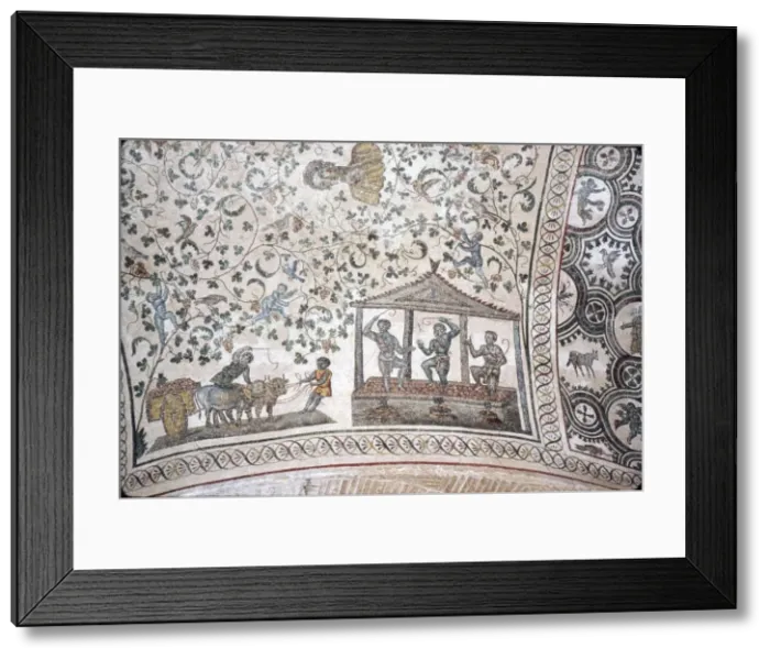 Framed Print : Mosaic detail in ambulatory of Santa Constanza church, Rome, 4th century Framed Print : Mosaic detail in ambulatory of Santa Constanza church, Rome, 4th century