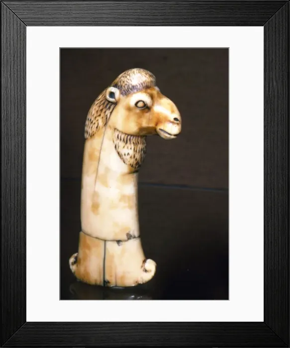 Framed Print : Ivory Dagger Handle of Camels Head, India, Mughal, 17th century Framed Print : Ivory Dagger Handle of Camels Head, India, Mughal, 17th century