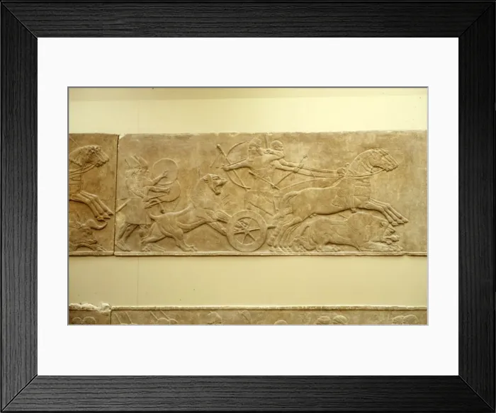 Framed Print : Ashurnasirpal II killing lions, c645 BC-635 BC Framed Print : Ashurnasirpal II killing lions, c645 BC-635 BC