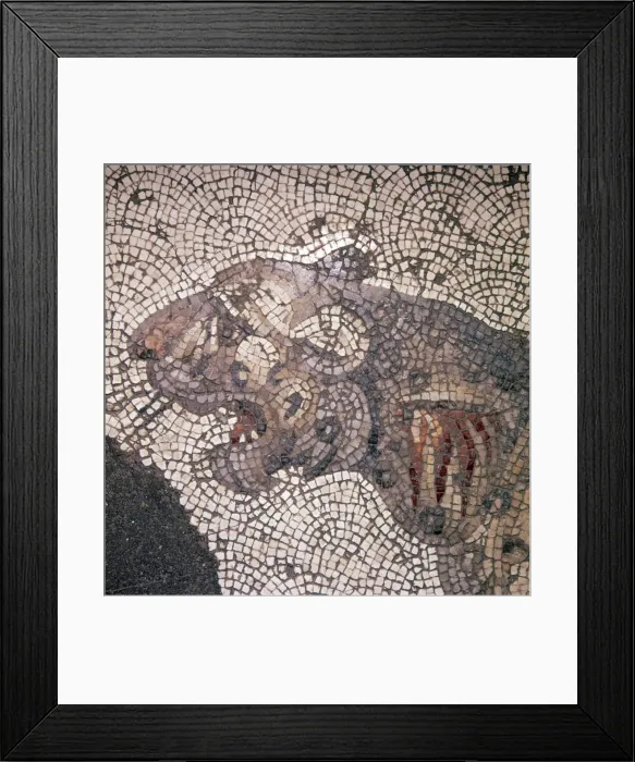 Framed Print : Leopard Mosaic detail, Great Palace, Istanbul, c4th-6th century Framed Print : Leopard Mosaic detail, Great Palace, Istanbul, c4th-6th century