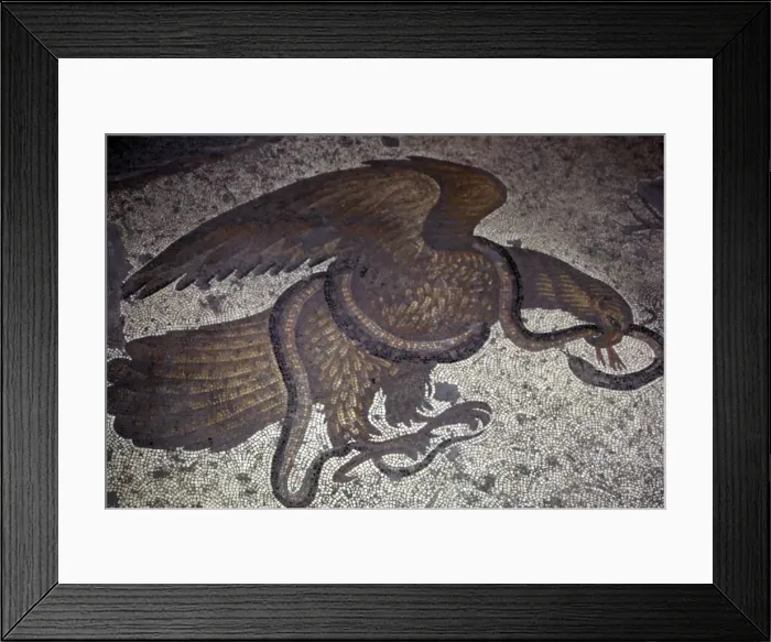 Framed Print : Eagle fights a snake, detail of Byzantine Floor Mosaic at Great Palace, Istanbul, 6th century Framed Print : Eagle fights a snake, detail of Byzantine Floor Mosaic at Great Palace, Istanbul, 6th century