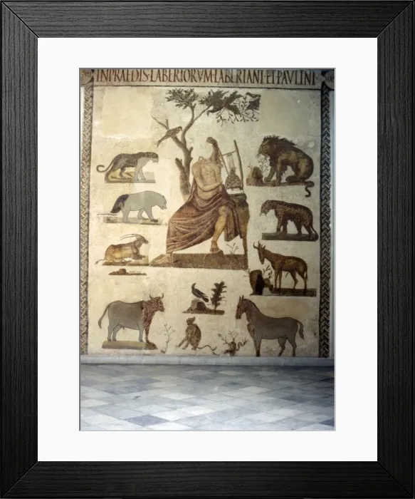 Framed Print : Mosaic of Orpheus Taming the Animals, 2nd-3rd century Framed Print : Mosaic of Orpheus Taming the Animals, 2nd-3rd century