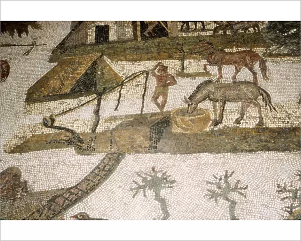 Roman Mosaic of horses drinking, c2nd-3rd century