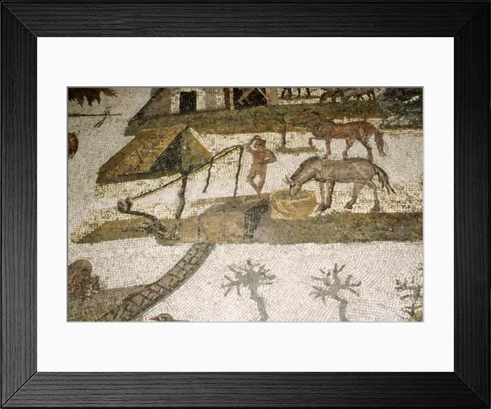 Framed Print : Roman Mosaic of horses drinking, c2nd-3rd century Framed Print : Roman Mosaic of horses drinking, c2nd-3rd century