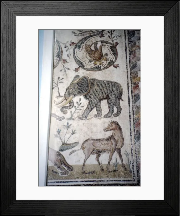 Framed Print : Roman Mosaic of Elephant, Horse and Bear, c2nd-3rd century Framed Print : Roman Mosaic of Elephant, Horse and Bear, c2nd-3rd century